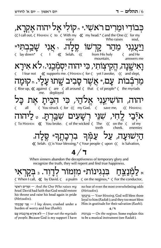 Interlinear Tehillim /Psalms Full Size The Schottenstein Edition
