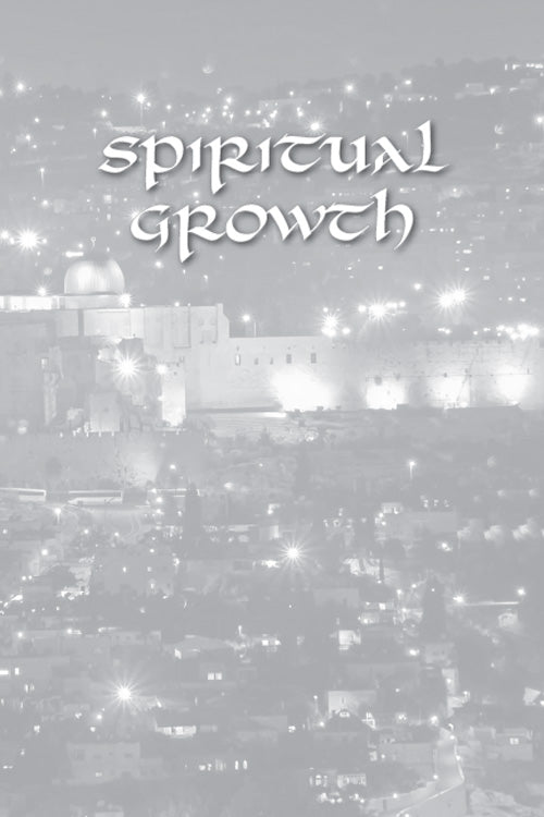 Artscroll: Lights from Jerusalem by Sarah Yocheved Rigler