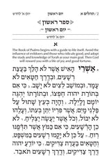 Artscroll: Large Type Tehillim / Psalms Full Size
