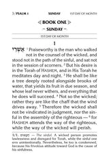 Artscroll: Large Type Tehillim / Psalms Full Size