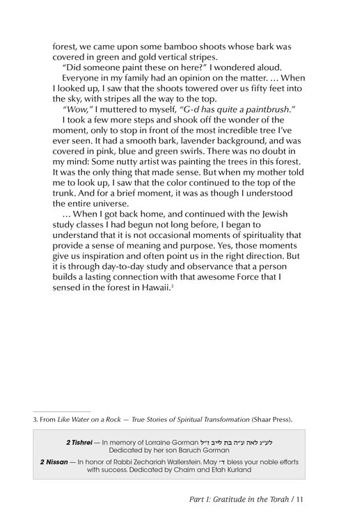 Artscroll: Let There Be Rain by Rabbi Shimon Finkelman & Rabbi Zechariah Wallerstein