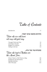Artscroll: Mountain Climbers 2 by Malky Feig