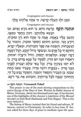 Artscroll: Machzor Rosh Hashanah - Large Type by Rabbi Nosson Scherman - Ashkenaz