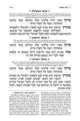 Artscroll: Machzor Succos Full Size - Ashkenaz by Rabbi Avie Gold