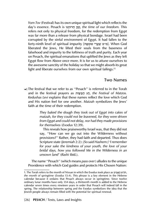 Artscroll: Pesach by Rabbi Shimon Finkelman