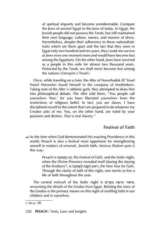 Artscroll: Pesach by Rabbi Shimon Finkelman
