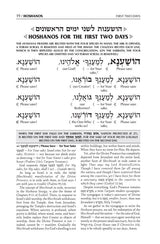Schottenstein Interlinear Hoshanos Pocket Size
