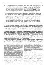 Artscroll: Sapirstein Edition Rashi - 3 - Vayikra - Full Size by Rabbi Yisrael Isser Zvi Herczeg