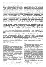 Artscroll: Sapirstein Edition Rashi - 5 - Devarim - Full Size by Rabbi Yisrael Isser Zvi Herczeg