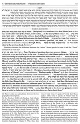 Artscroll: Ramban 7 - Devarim/Deutronomy