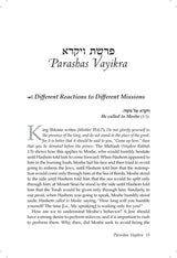 Rav Moshe on Chumash Vol 2, Vayikra - Bamidbar - Devarim