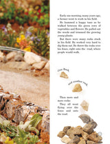 Stories From Our Sages