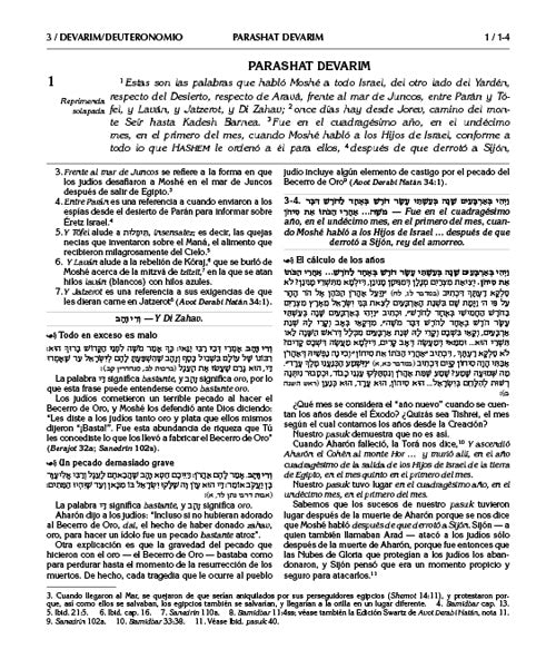 Wengrowsky Spanish Edition of Chumash with the Teachings of the Talmud Sefer Devarim