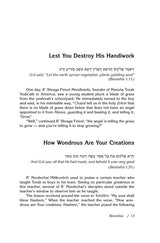 Artscroll: Stories My Grandfather Told Me - Volume 1: Bereishis by Zev Greenwald