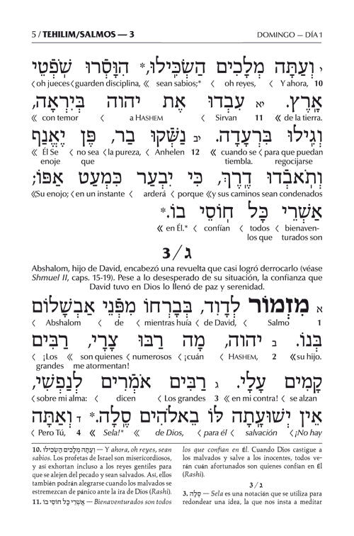 Spanish Interlinear Tehillim - The Wengrowsky Edition