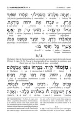 Spanish Interlinear Tehillim - The Wengrowsky Edition