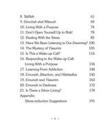 The Sun Will Shine Again (Paperback)