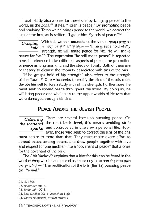 Teachings of The Abir Yaakov Vol. 1