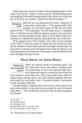 Teachings of The Abir Yaakov Vol. 1