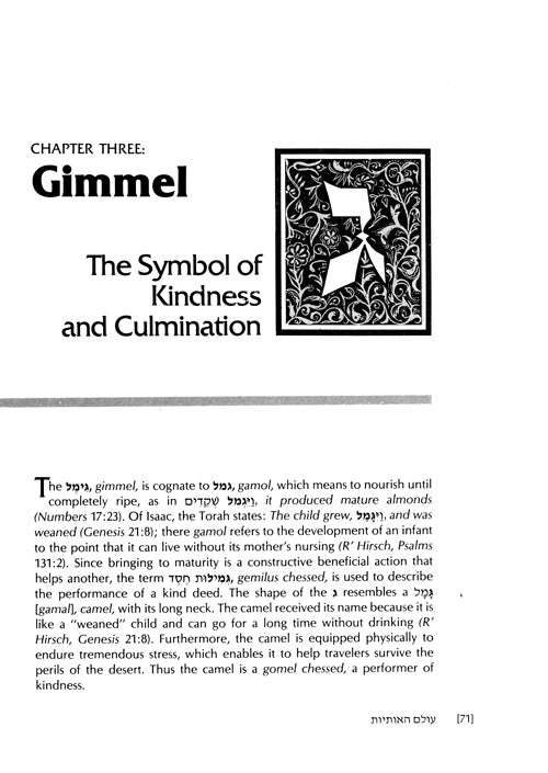 The Wisdom In The Hebrew Alphabet