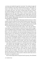 Artscroll: Women's Talk by Debbie Shapiro