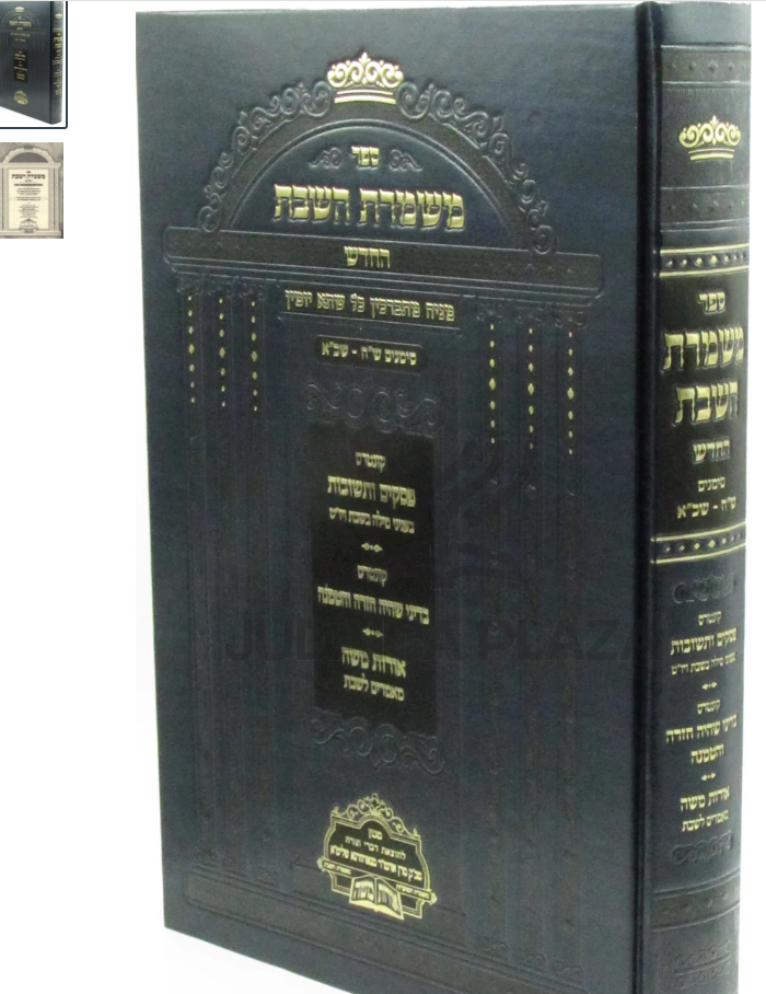 משמרת השבת החדש סימן ש"ח-שכ"א