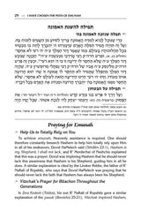 R' David Chai Abuchatzeira on Emunah and Bitachon