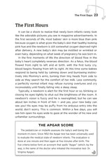 Baby’s First Year: The Jewish Mother’s Guide