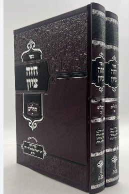 חזה ציון על ספר תהלים ב"כ - מכון משנת חסידים