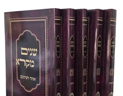 שנים מקרא ואחד תרגום עם רש"י כיס מעוטף ה"כ - אברמוביץ