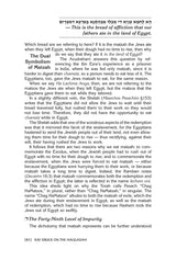 Rav Druck on the Haggadah