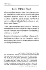 Halachic Handbook: The Laws of the Succah and Four Species Pocket Size Paperback