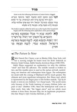 Haggada : At The Maggid's Seder
