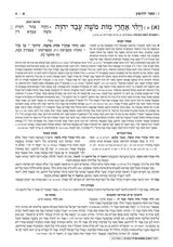 נביאים מקראות גדולות מלכים א-ב בינוני - ארטסקרול