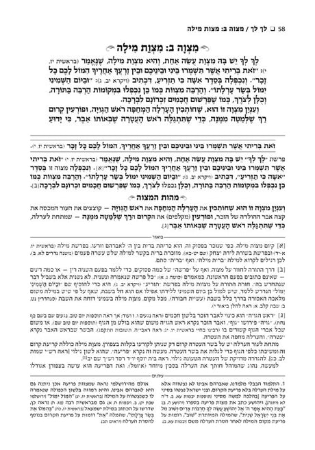 ספר החינוך ארטסקרול ח"א - מצוות א-פ - בראשית-משפטים