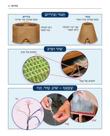 מפות, טבלאות, וסדרי המאורעות שבתורה - קשה