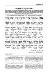 Schottenstein Siddur & Tehillim - Interlinear Translation 3 Vol Slipcased Set Sefard