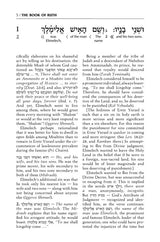 Schottenstein Ed Interlinear Ruth with Bircas HaMazon - Pocket size [Paperback]