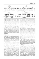 The Schottenstein Edition Interlinear Tashlich Paperback