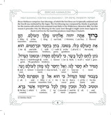 Schottenstein Ed Interlinear Hardcover Faux Leather Zemiros Set (6 vol) - White with Silver