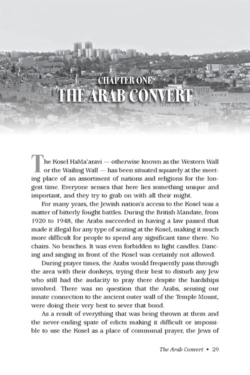 Our Man in Jerusalem