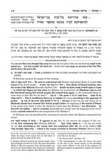 Or HaChaim Bamidbar/Numbers Vol. 2: Chukas - Masei - Yaakov and Ilana Melohn Edition