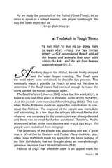 Rav Pam on the Parashah