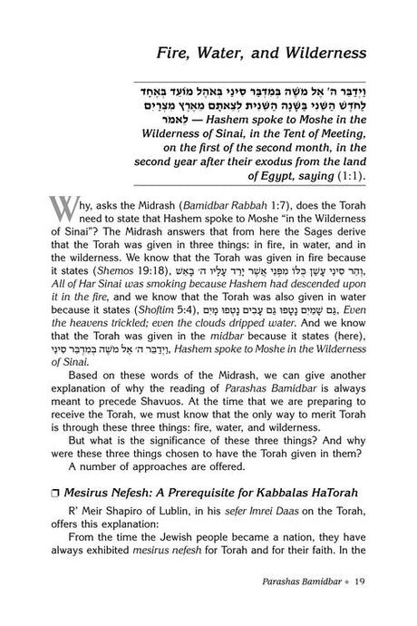 Rav Druck on Chumash - Bamidbar