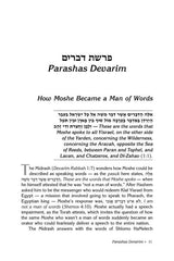 Rav Druck on Chumash - Devarim