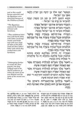 Shnayim Mikra V'Echad Targum - Shemos