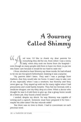 A Tapestry of Stars - Paperback