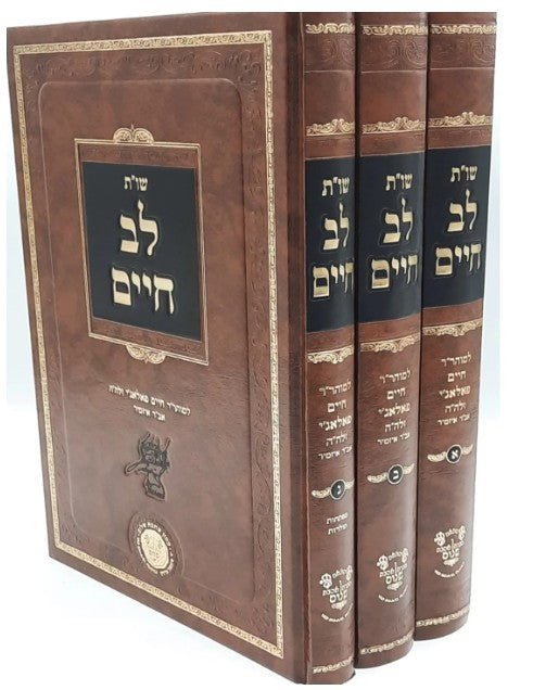 שו"ת לב חיים - רב חיים פאלאג"י