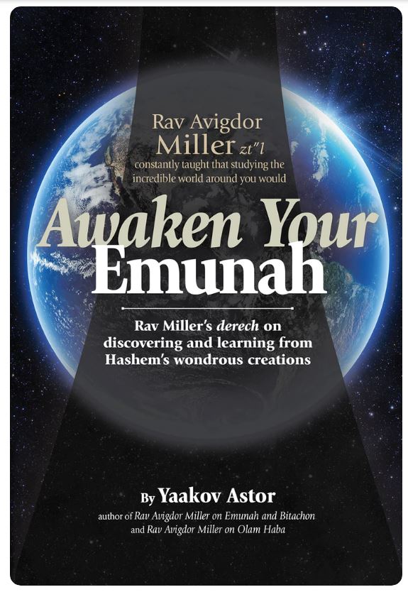 Awaken Your Emunah