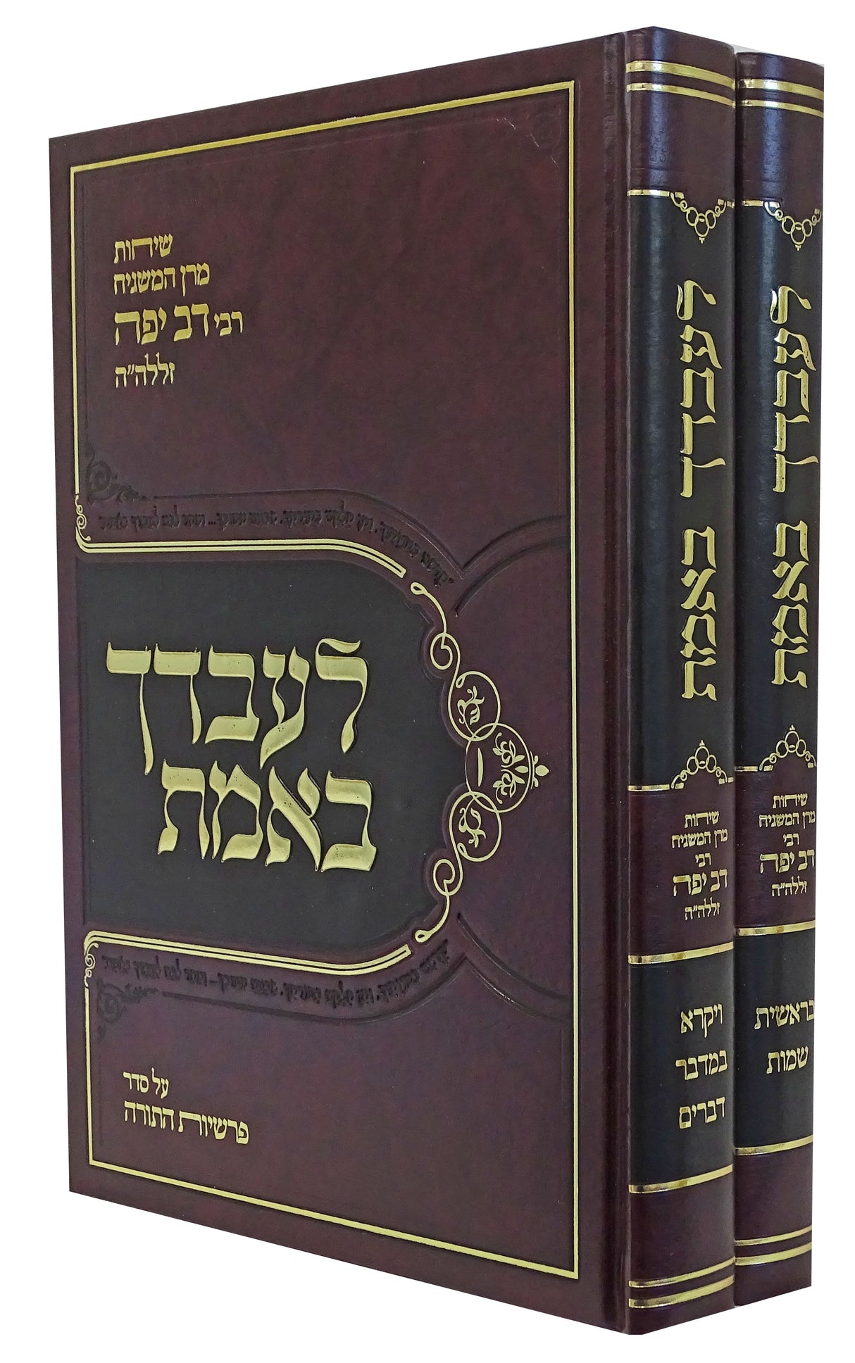 לעבדך באמת ב' כרכים - על התורה